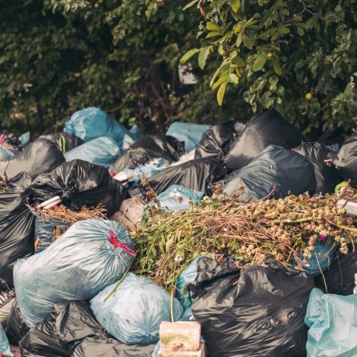 Garden-Waste-in-Bracknell-683x1024
